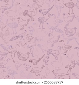 vector drawing seamless pattern with sketch of domestic birds, hand drawn chicken,rooster,goose and turkey, isolated nature design elements