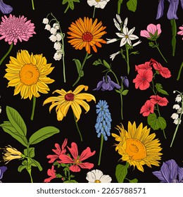 vector drawing seamless pattern with wild flowers and plants at black background, hand drawn natural illustration