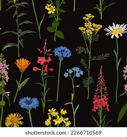 vector drawing seamless pattern with wild flowers and plants at black background, hand drawn natural illustration