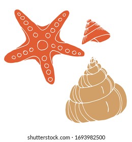 
Vector drawing seashells. Summer, sea, ocean. Sketch, illustration. Decorative image