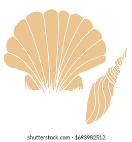 
Vector drawing seashells. Summer, sea, ocean. Sketch, illustration. Decorative image