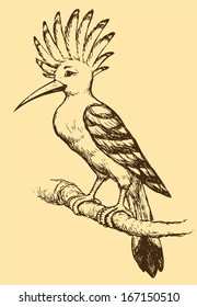 Vector drawing of a series of monochrome sketches "Birds". The Hoopoe, a colorful bird that is found across Africa and Eurasia