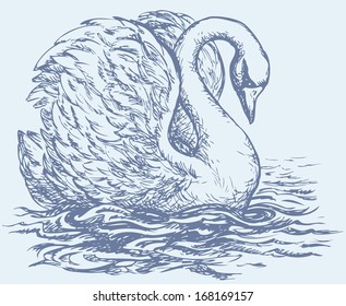 Vector drawing of a series of monochrome sketches "Birds". Swan are bird of the family Anatidae within the genus Cygnus