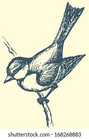 Vector drawing of a series of monochrome sketches "Birds". The tits, chickadees, and titmice constitute Paridae, a large family of small passerine birds which occur in the northern hemisphere