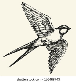 Vector drawing of a series of monochrome sketches "Birds". Swallows and martins are a group of passerine birds in the family Hirundinidae which are characterised by their adaptation to aerial feeding