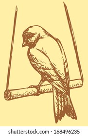 Vector drawing of a series of monochrome sketches "Birds". Domestic Canary is a small songbird in the finch family originating from the Macaronesian Islands (Azores, Madeira and Canary Islands)