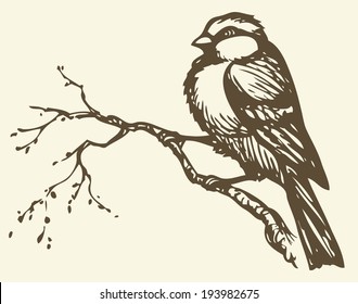 Vector drawing of series of monochrome sketches "Birds". Tits, chickadees, and titmice constitute Paridae, a large family of small passerine birds which occur in the northern hemisphere 