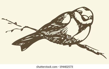 Vector drawing of series of monochrome sketches "Birds". Tits, chickadees, and titmice constitute Paridae, a large family of small passerine birds which occur in the northern hemisphere 