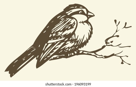 Vector drawing of series of monochrome sketches "Birds". Tits, chickadees, and titmice constitute Paridae, a large family of small passerine birds which occur in the northern hemisphere 
