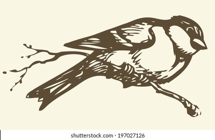 Vector drawing of series of monochrome sketches "Birds". Tits, chickadees, and titmice constitute Paridae, a large family of small passerine birds which occur in the northern hemisphere 