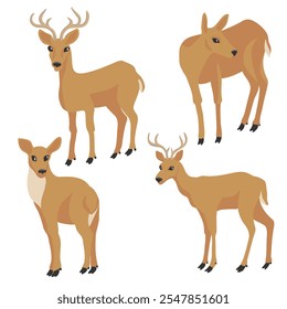 vector drawing set of animals, roe deer, roebuck isolated at white background