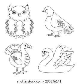 Vector drawing of a set of birds