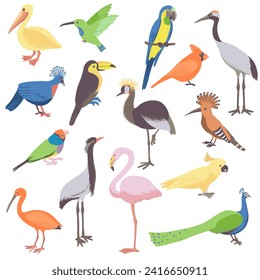 vector drawing set of birds, hand drawn illustration, isolated natural design elements