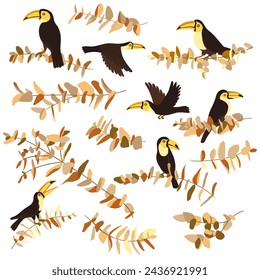 vector drawing set of birds, hand drawn toucans at tree branches , isolated nature design elements