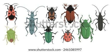 vector drawing set of bugs, beetles, hand drawn insect isolated at white background