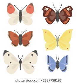 vector drawing set of butterflies, insects isolated at white background, natural elements, hand drawn illustration