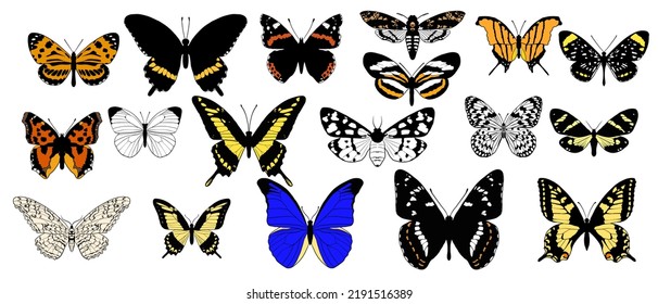 vector drawing set of butterflies,moth collection, insects isolated at white background, hand drawn illustration