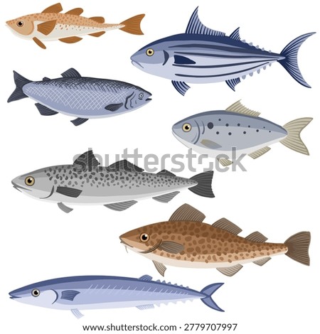 vector drawing set of commercial fishes isolated at white background, hand drawn illustration