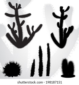 vector drawing set desert cactus  - detailed vector 