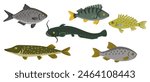 Vector drawing set of fishes, Eurasian ruffe, rutilus roach, northern pike, freshwater bream, wells catfish and perch isolated at white background, hand drawn vector illustration