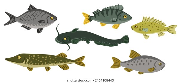 Vector drawing set of fishes, Eurasian ruffe, rutilus roach, northern pike, freshwater bream, wells catfish and perch isolated at white background, hand drawn vector illustration