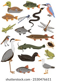 Conjunto de desenho vetorial de peixes, aves aquáticas, anfíbios e insetos isolados em fundo branco, ilustração vetorial desenhada à mão