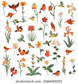 conjunto de desenho vetorial de flores, plantas e aves no fundo branco, elementos florais, ilustração botânica desenhada à mão