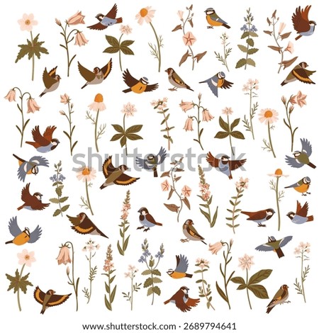 vector drawing set of flowers, plants and birds at white background, floral elements, hand drawn botanical illustration
