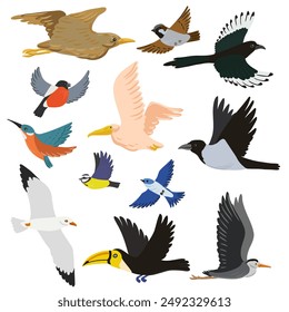 vector drawing set of flying birds, isolated nature design elements, hand drawn illustration