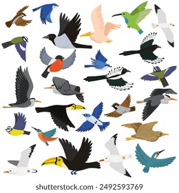 vector drawing set of flying birds, isolated nature design elements, hand drawn illustration