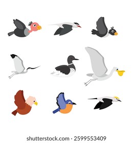 vector drawing set flying birds