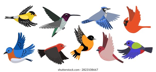 vector drawing set of flying birds,  hand drawn isolated nature design elements