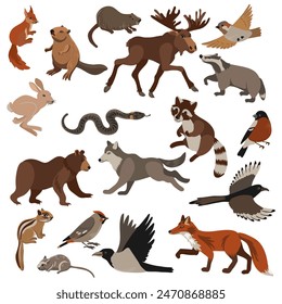 vector drawing set of forest animals and birds isolated at white background, hand drawn illustration