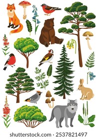 Conjunto de dibujos de Vector de animales forestales, pájaros, árboles y plantas aislados en el fondo blanco, personajes de estilo de dibujos animados