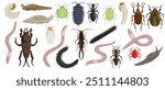 vector drawing set of garden pests, beetles, bugs, insects nd wirms isolated at white background, hand drawn illustration