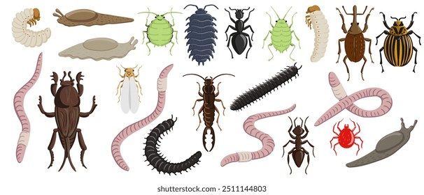 vector drawing set of garden pests, beetles, bugs, insects nd wirms isolated at white background, hand drawn illustration