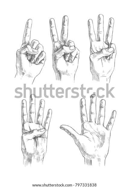 ジェスチャ指のベクター画像描画セット 1 5 白い背景に違う数字を