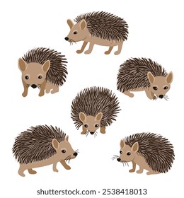 vector drawing set of hedgehogs, animal isolated at white background