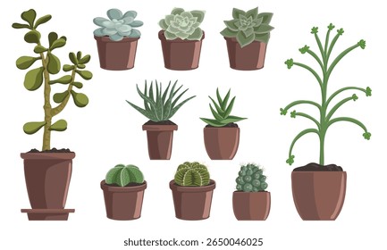 vector drawing set of house plants in pots, succulents and cactuses isolated at white background, hand drawn illustration