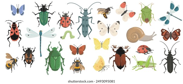 vector drawing set of insects, beetles, butterflies, dragonflies, bee, caterpillar and grasshopper isolated at white background, hand drawn illustration