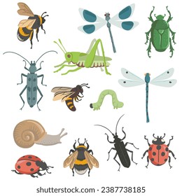 vector drawing set of insects, bugs, dragonflies, bee, caterpillar and grasshopper isolated at white background, hand drawn illustration