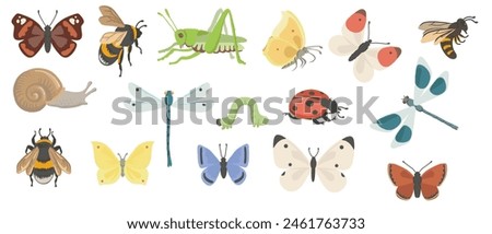 vector drawing set of insects, butterflies, dragonflies, bee, caterpillar and grasshopper isolated at white background, hand drawn illustration