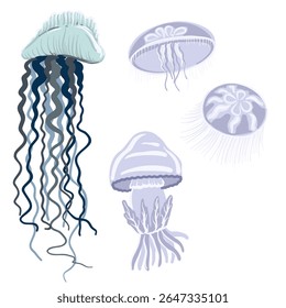 vector drawing set of sea jellies and Portuguese man of war, underwater objects, isolated at white background, hand drawn illustration