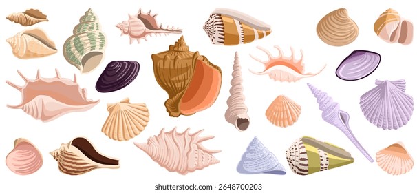 conjunto de desenho vetorial de conchas do mar isoladas no fundo branco, ilustração desenhada à mão