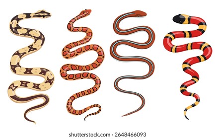 vector drawing set of snake isolated at white background, pets, home reptiles, hand drawn illustration
