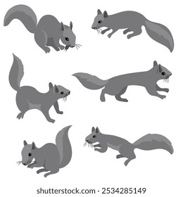 vector drawing set of squirrels, animal isolated at white background