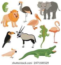 vector drawing set of tropical animals and birds isolated at white background, hand drawn illustration