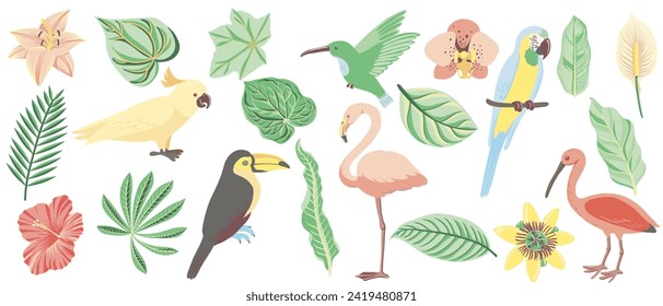 vector drawing set of tropical birds, green palm leaves and flowers, hand drawn flamingo, isolated nature design element