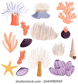 vector drawing set of underwater objects, corals, sea anemones, shells and star isolated at white background, hand drawn illustration