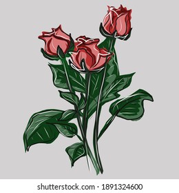 Vector drawing several roses. Plants, flowers, spring, joy, romance. Vector isolated image.
